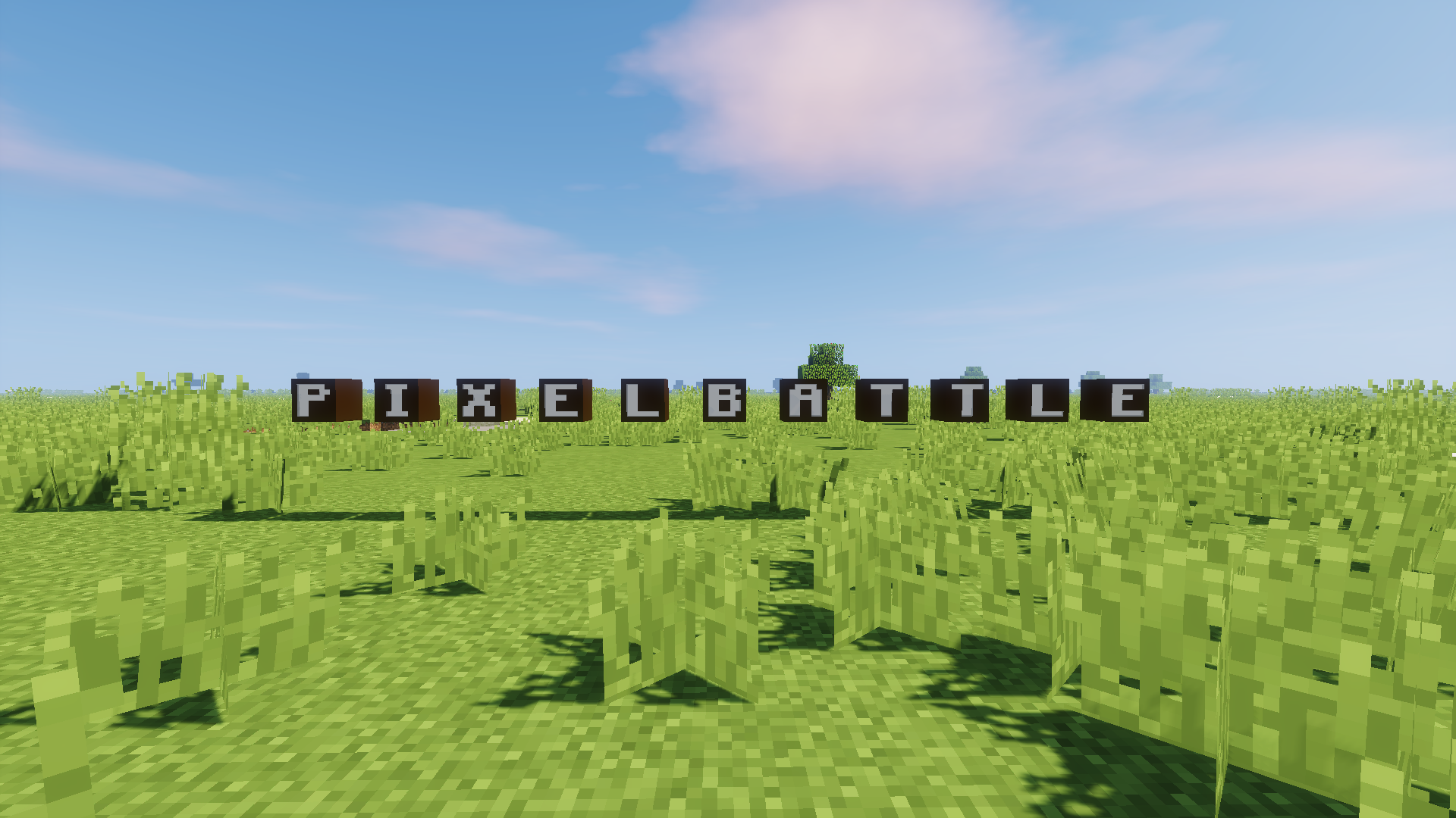 A wide Minecraft grass field under a blue sky, with the word PIXELBATTLE spelled
                  out in floating black and white blocks on the horizon.